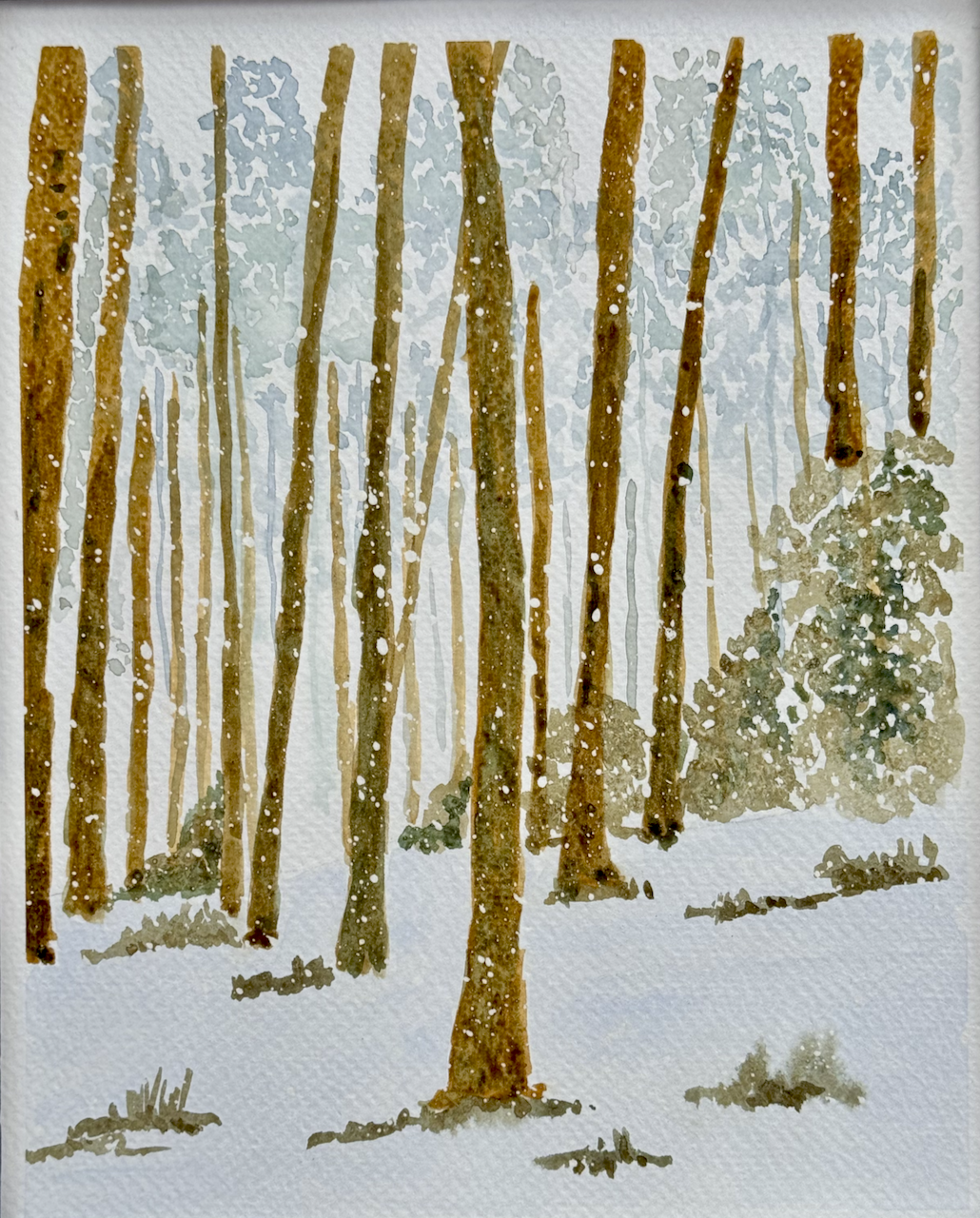 Snowy Trees