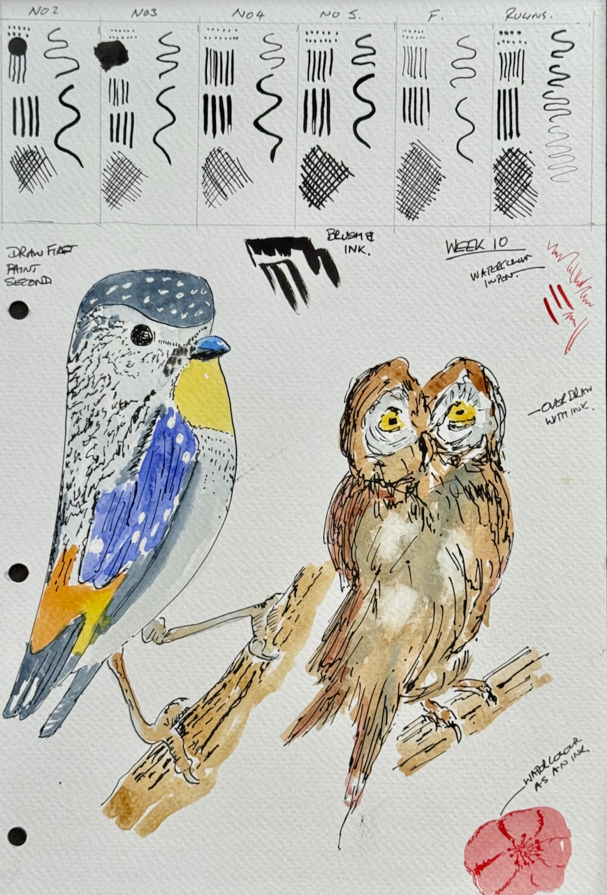 Birds – Pen and Ink