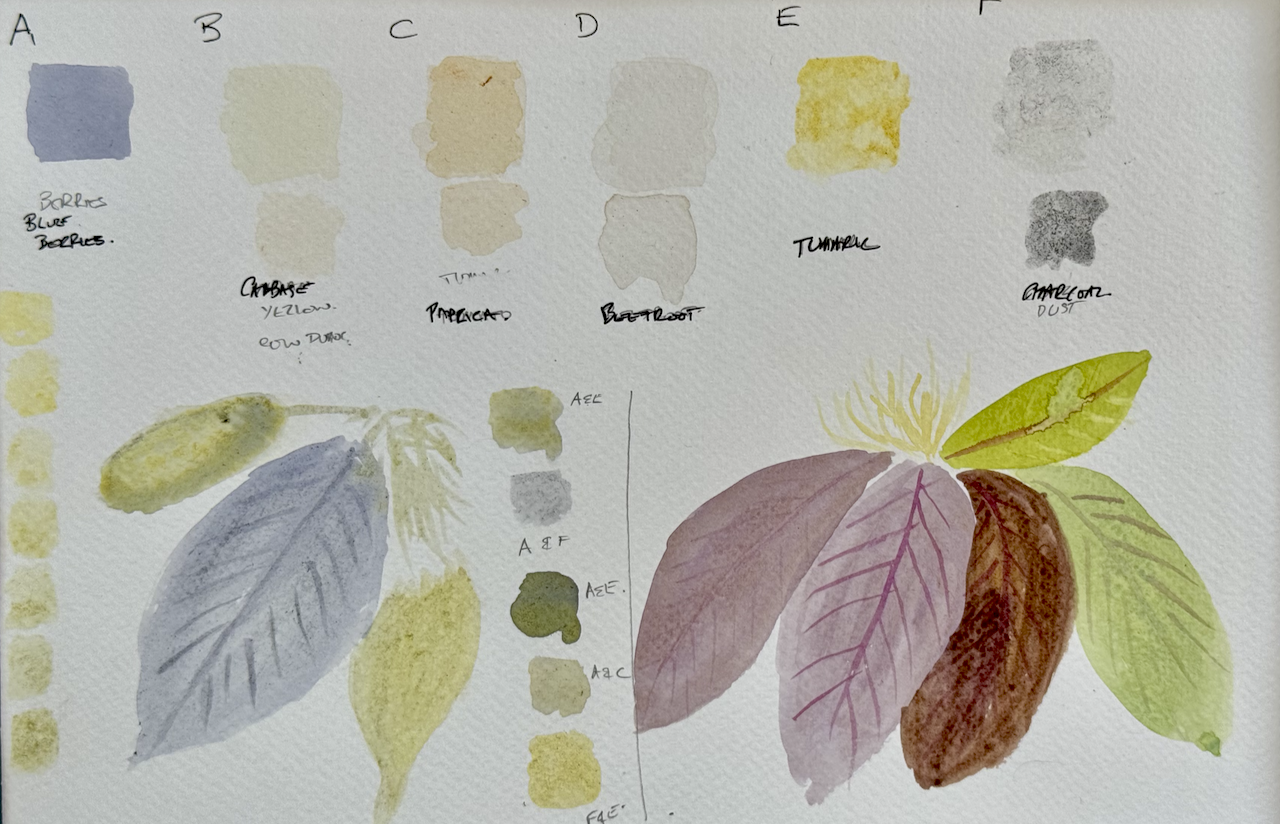 Natural Pigments